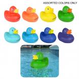 Colorful Rubber Ducks