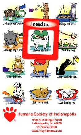 Cats and Dogs Frame of Mind Magnet