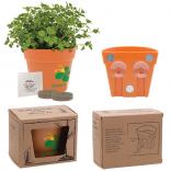 DIY Blossom Kit w/Indoor Garden Planter 
