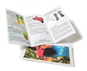Tri-Fold Seed Paper Brochure