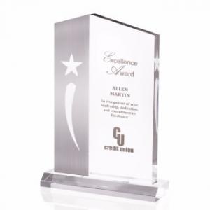 Excellence Shooting Star Award