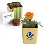 Flower Pot Set with Marigold Seeds