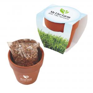 Seed Planting Terracotta Pot