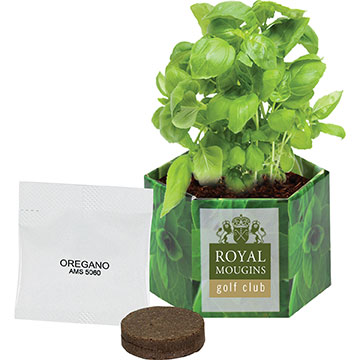 Pop Up Planter Box Starter Kit