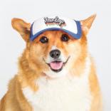 Trucker Dog Hat 