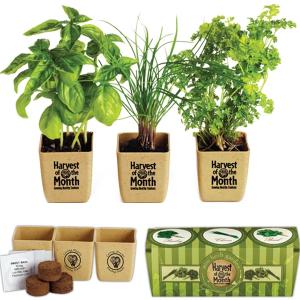 Herb Garden Set