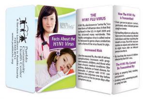 Facts About The H1N1 Virus Pamphlet