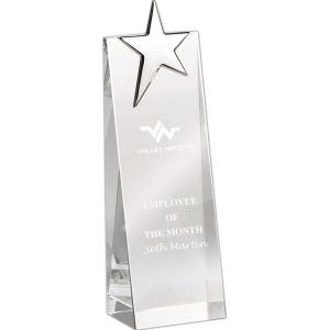 Silver Star Crystal Award