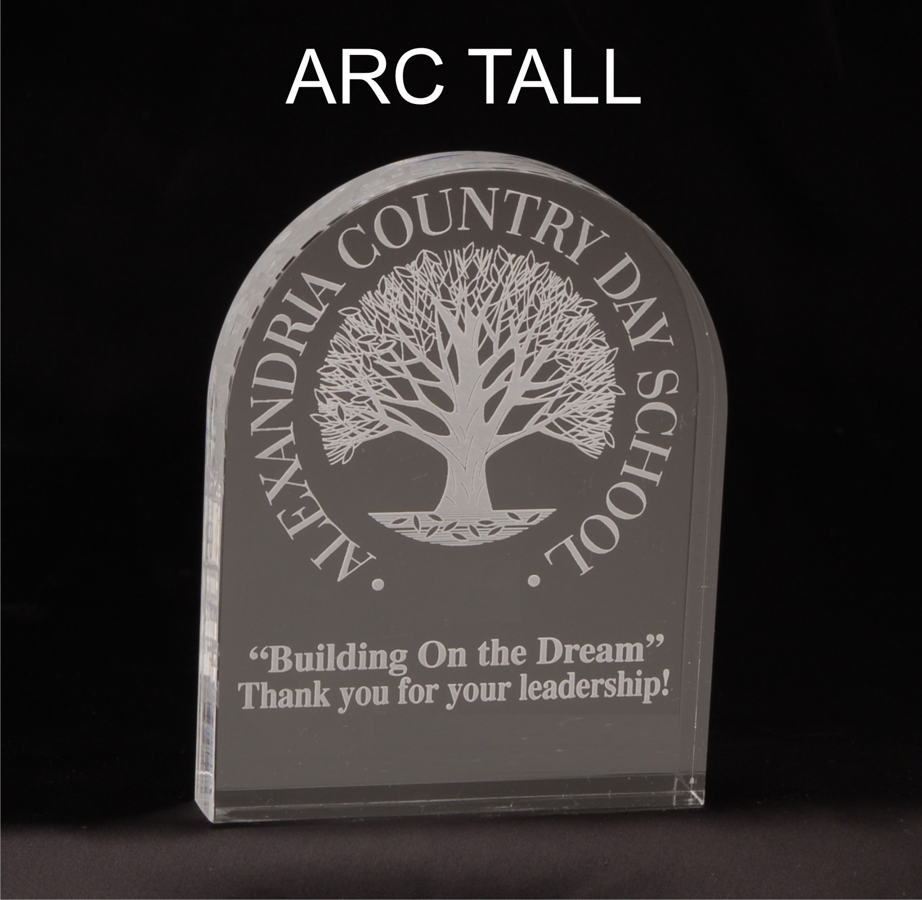 Tall Arc Shaped Acrylic Award/Paperweight 